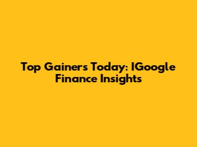 Top Gainers Today: IGoogle Finance Insights